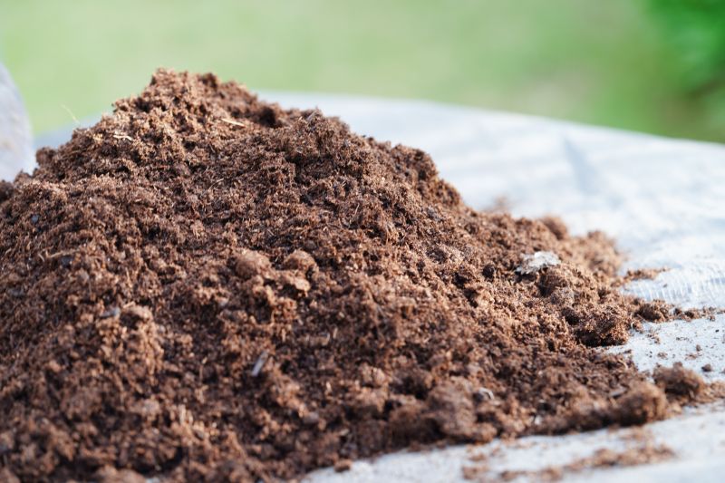 Fall Soil Preparation